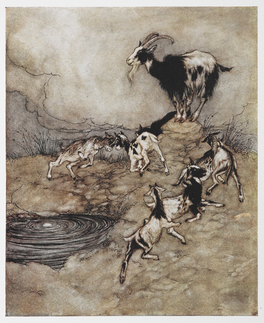 رسم توضيحي لماعز وأطفالها الصغار يلعبون في فيلم The Wolf and the Seven Kids. بواسطة آرثر راكهام