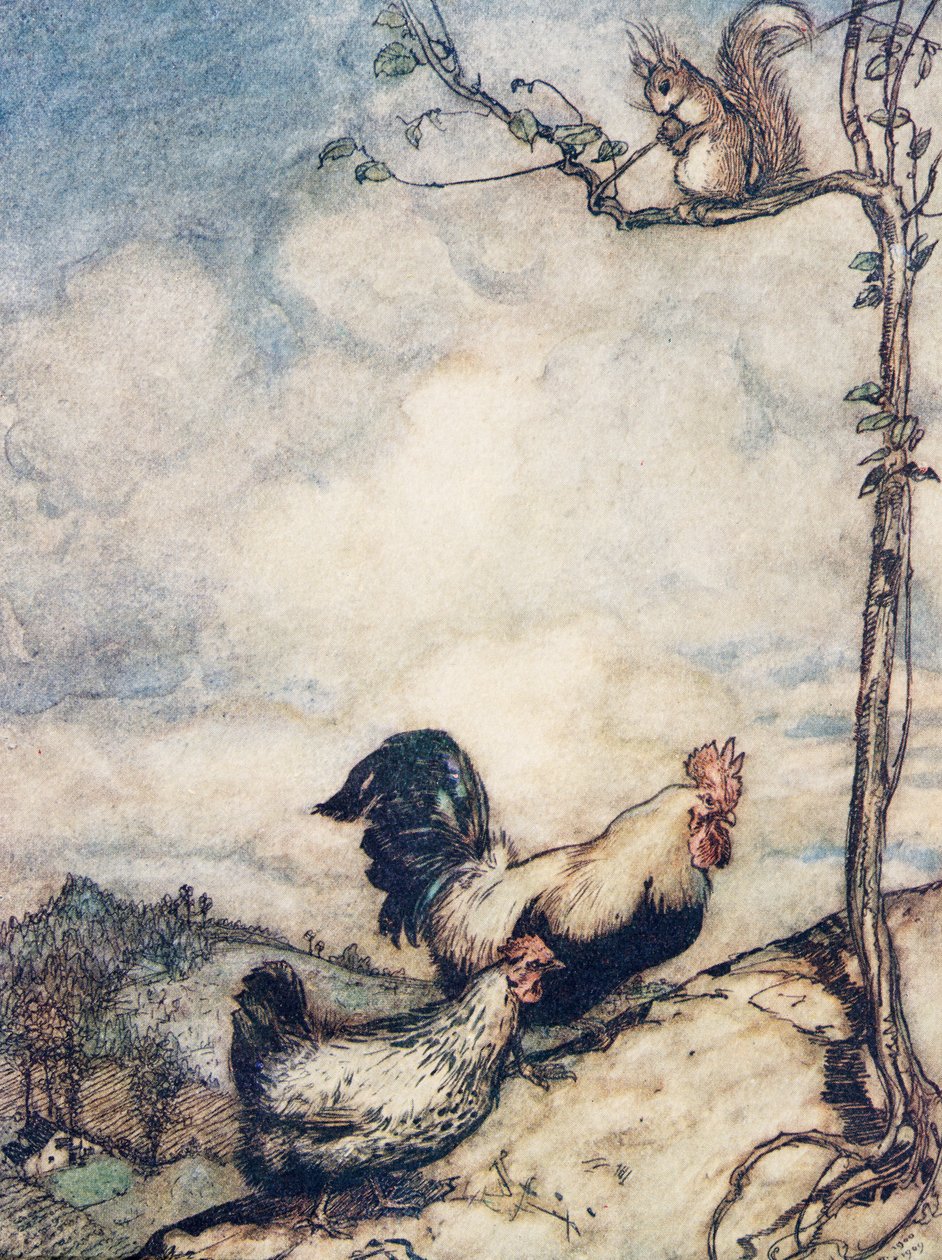 الآن سنصعد التل ونقيم وليمة جيدة قبل أن يحمل السنجاب كل المكسرات .. ، من The Fairy Tales of the Brothers Grimm ، حانة. 1909 بواسطة آرثر راكهام