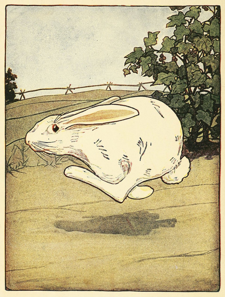لم يتوقف بيتر عن الركض ، من حانة The Tale of Peter Rabbit. 1916 (لون ليثو) بواسطة آرثر راكهام