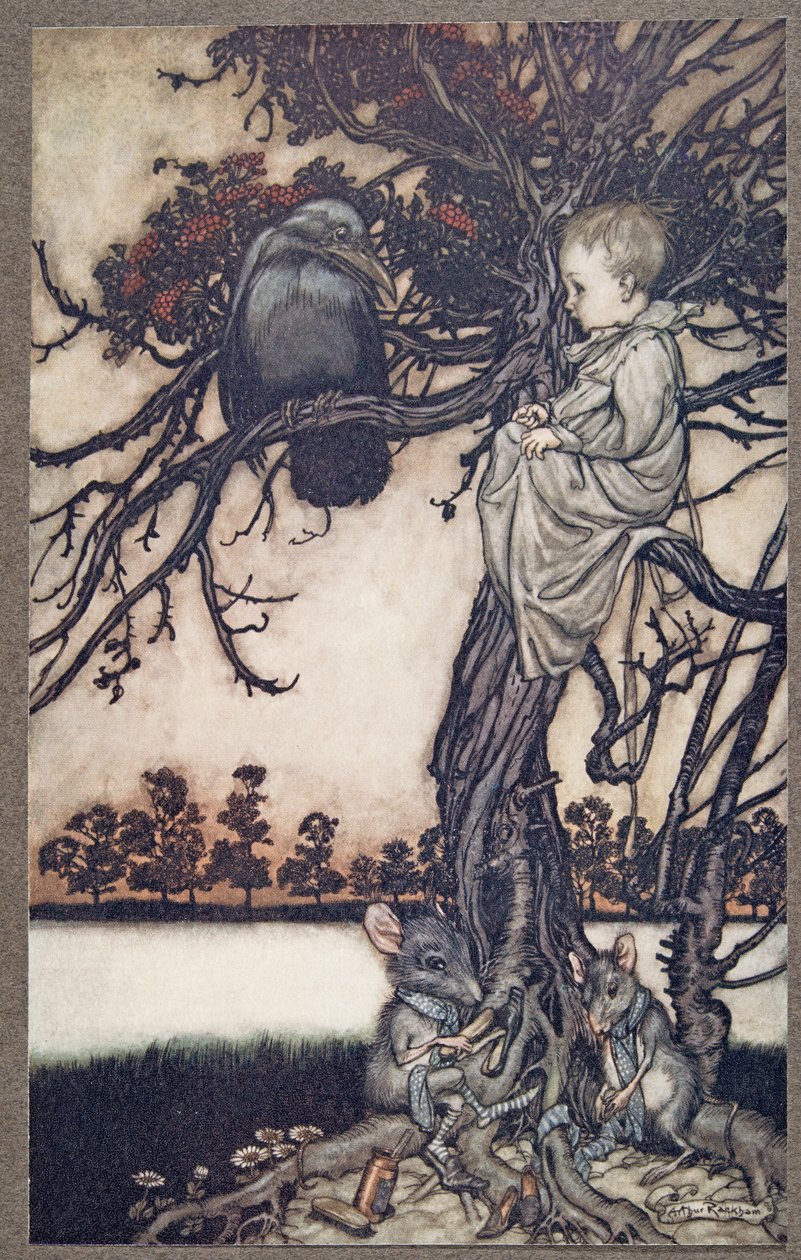 ضع قضيته الغريبة أمام Old Solomon Caw ، من Peter Pan في حدائق Kensington بواسطة JM Barrie (1860 - 1937) ، حانة. 1906 بواسطة آرثر راكهام