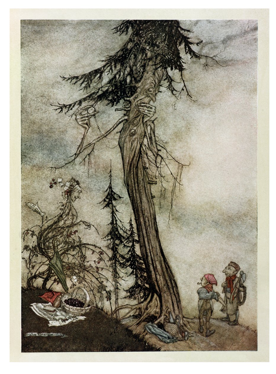 The Fir-Tree and the Bramble ، توضيح من "أساطير إيسوب" ، نشره Heinemann ، 1912 بواسطة آرثر راكهام