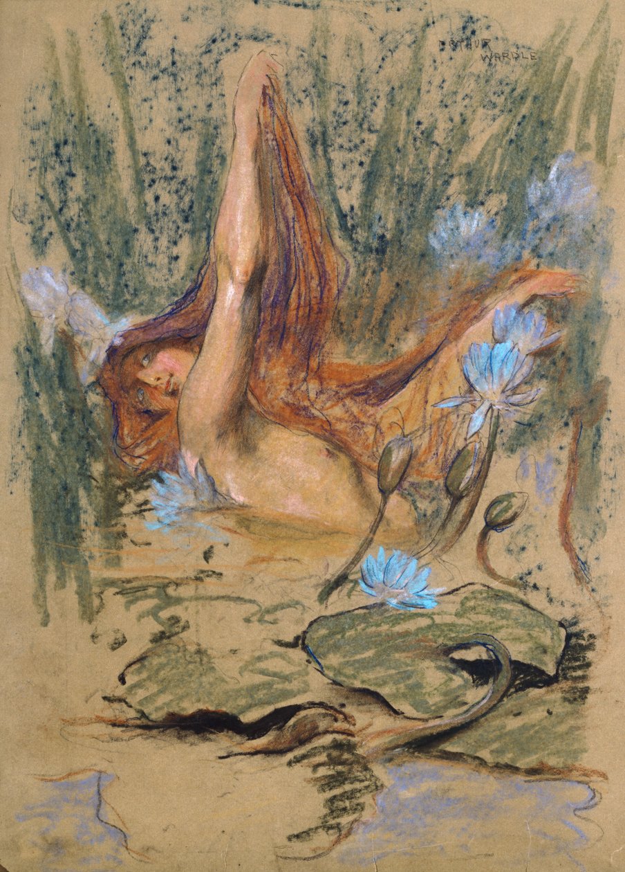 Nymphea ، c1890 (باستيل وقلم رصاص وألوان مائية على ورق) بواسطة آرثر واردل