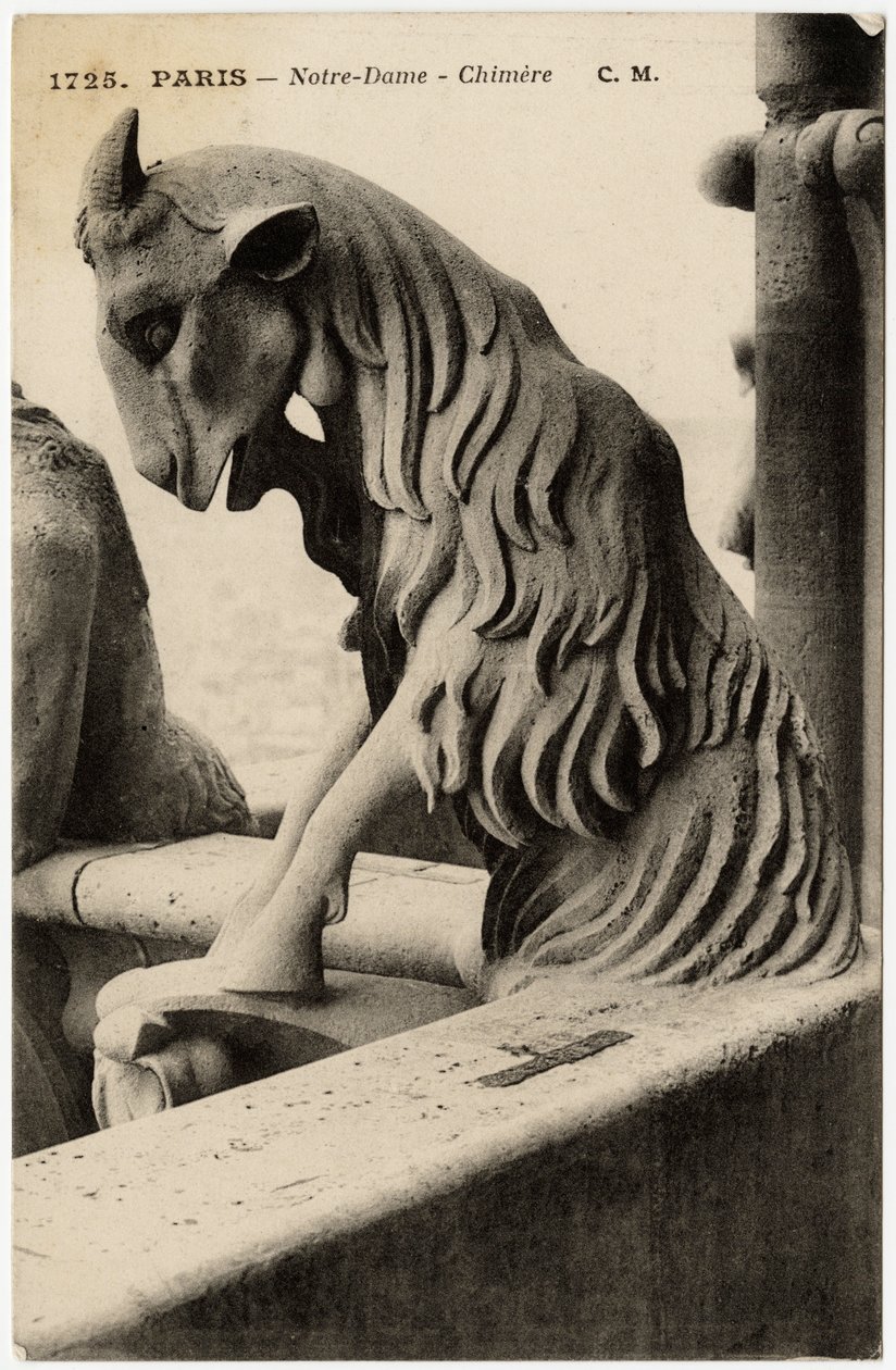 جارجويل أو شيمير كاتدرائية نوتردام دي باريس، التي بُنيت بين عامي 1163 و14 - بطاقة بريدية، مجموعة سيلفا بواسطة فنان غير معروف