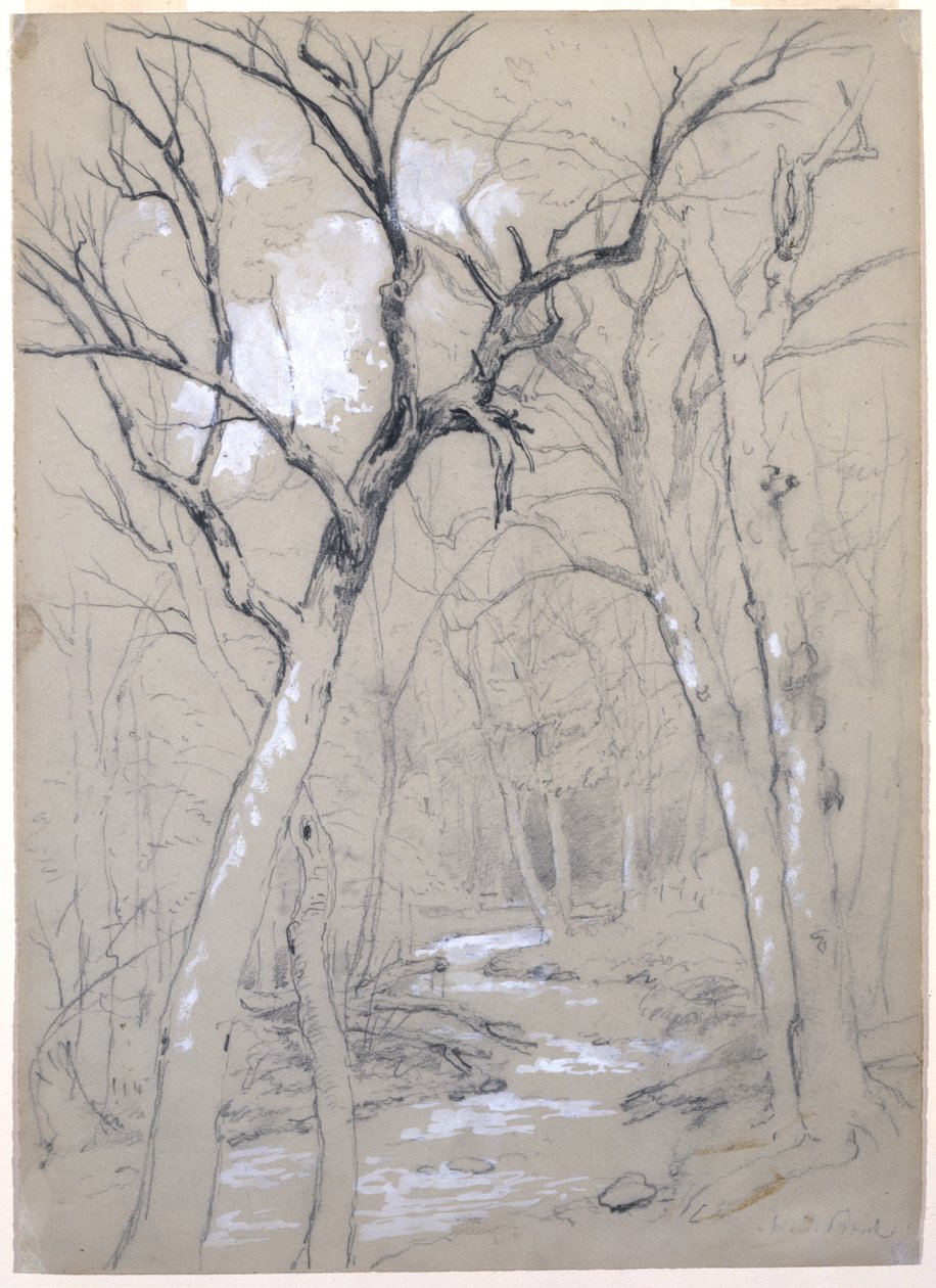 A Brook in the Woods ، 1854 (الجرافيت ، الغواش الأبيض ، وصبغة الرصاص البيضاء على ورق رمادي أخضر) بواسطة آشر براون دوراند