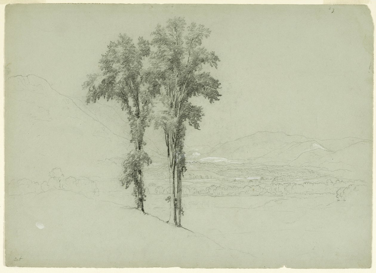 المناظر الطبيعية الجبلية مع شجرتين ، 1851 (الجرافيت والغواش الأبيض على ورق رمادي أخضر ؛ الجرافيت) بواسطة آشر براون دوراند