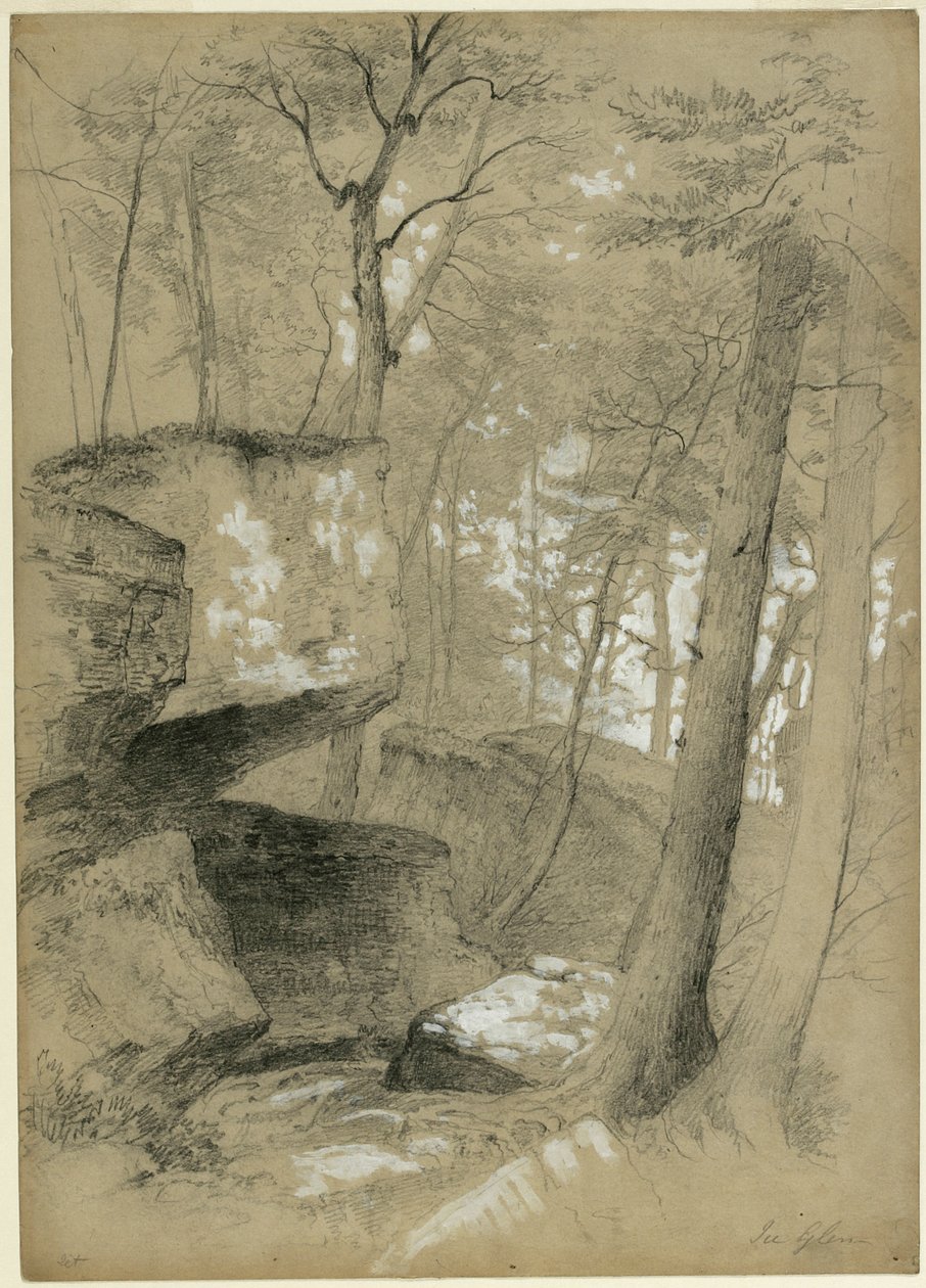 دراسة الصخور والأشجار في Ice Glen ، Stockbridge ، ماساتشوستس ، 1851 (الجرافيت والغواش الأبيض على ورق البيج) بواسطة آشر براون دوراند