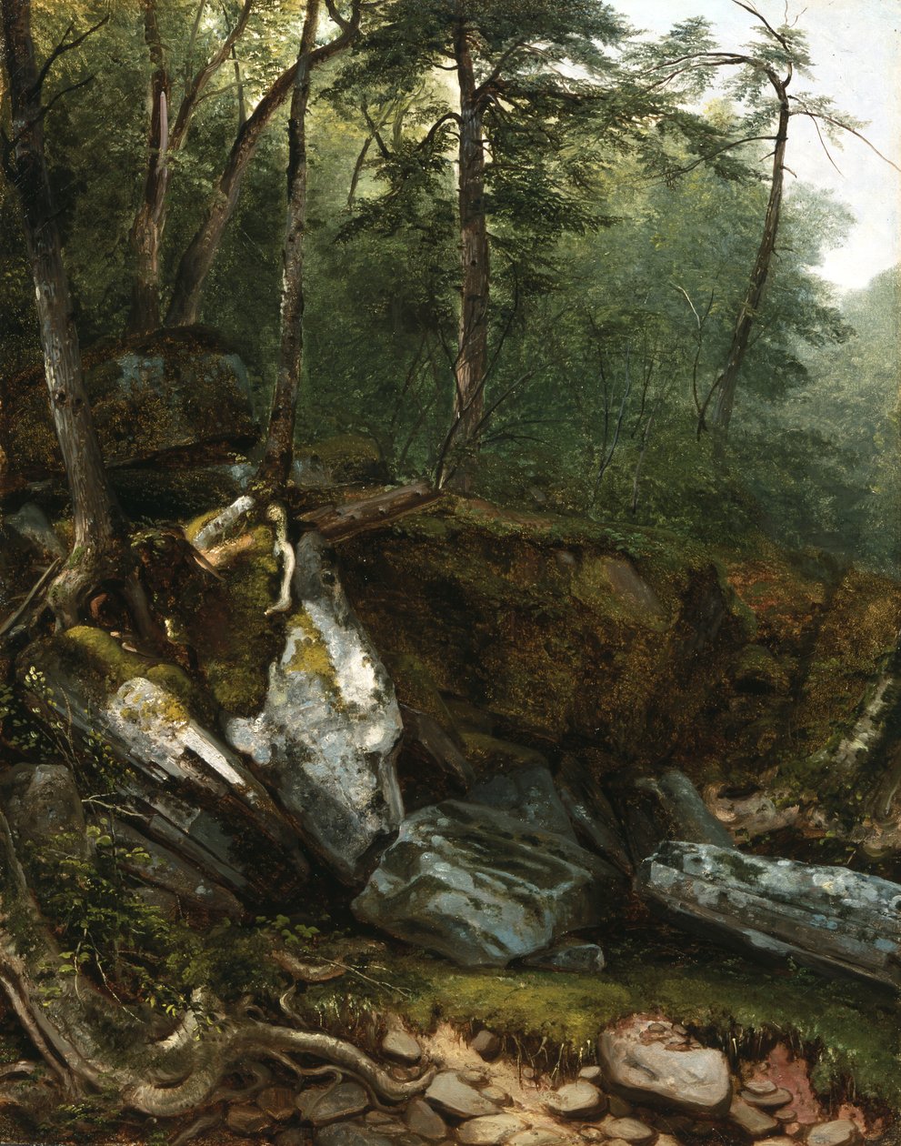دراسة من الطبيعة: الصخور والأشجار في Catskills ، نيويورك ، 1856 بواسطة آشر براون دوراند