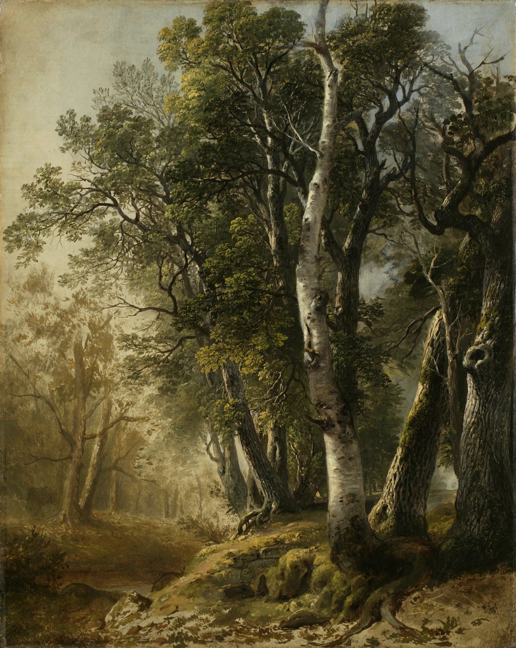 الأشجار من جانب Brookside ، كينغستون ، نيويورك ، 1846 (زيت على الكتان) بواسطة آشر براون دوراند