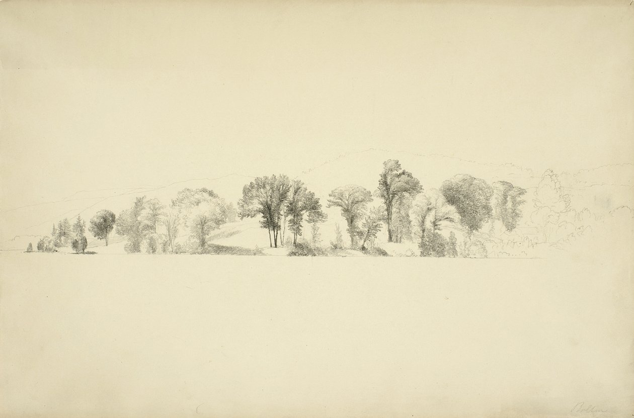 الأشجار على شاطئ بحيرة جورج ، بولتون ، نيويورك ، 1863 (الجرافيت على الورق) بواسطة آشر براون دوراند