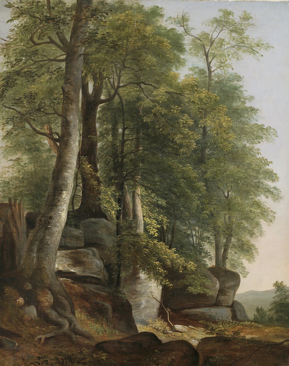 منظر طبيعي بالصخور والأشجار ، c.1845 بواسطة آشر براون دوراند