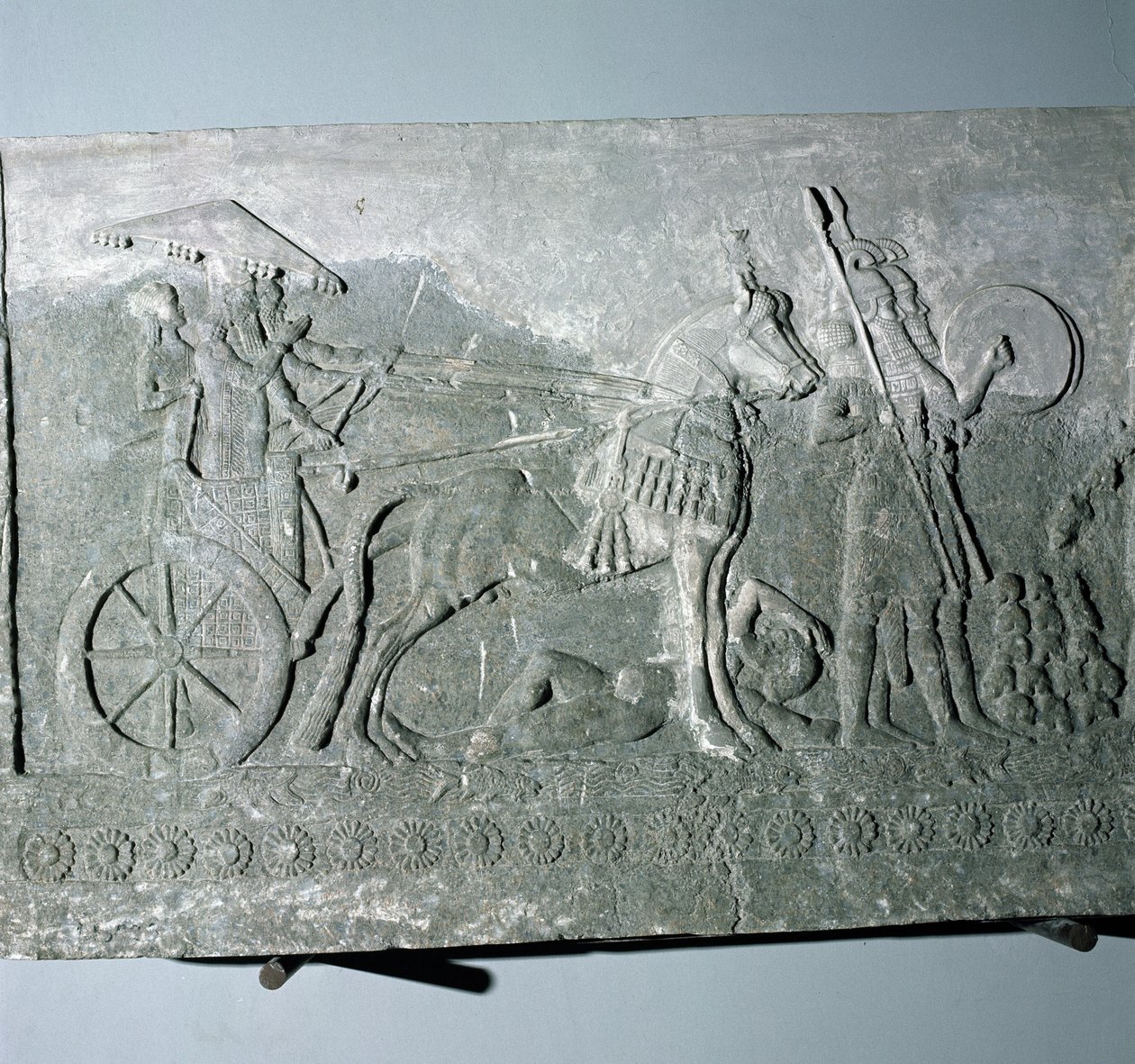 سرجون الثاني (721-705 قبل الميلاد) على عربة معركة ، من قصر سرجون الثاني في خورس آباد ، العراق بواسطة الآشورية