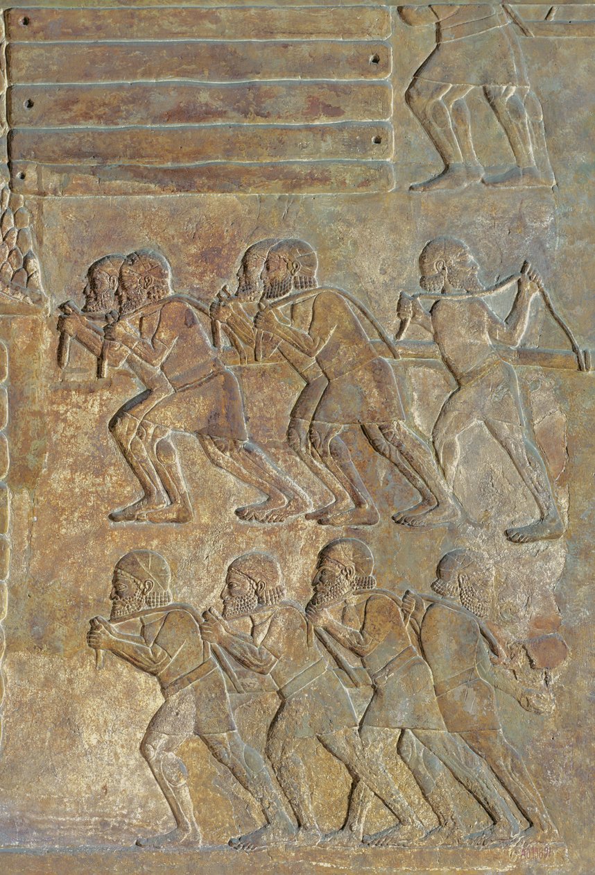 تفاصيل ارتياح يصور تخزين الأخشاب على الشاطئ قبل النقل عن طريق البحر ، من قصر سرجون الثاني ، خورس آباد ، العراق بواسطة الآشورية
