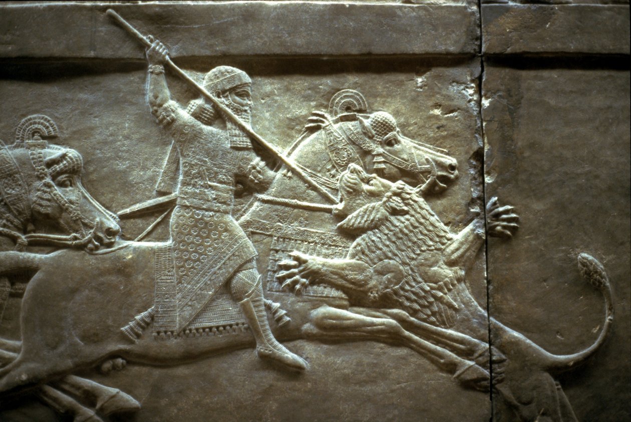 الملك Ashurnasirpal II خلال مطاردة الأسد الملكي ، 650-620 قبل الميلاد بواسطة الآشورية