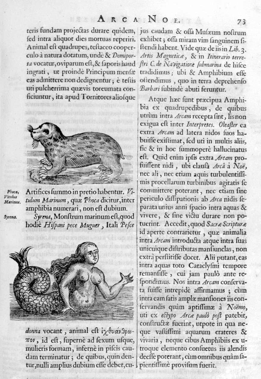 مخلوقات أسطورية ، 1675. بواسطة أثناسيوس كيرشر