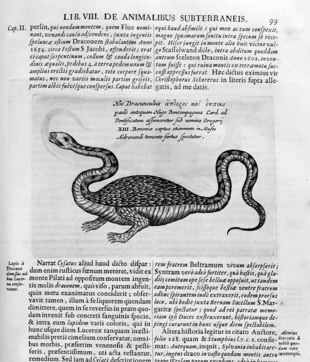 تنين صغير ، 1678 بواسطة أثناسيوس كيرشر