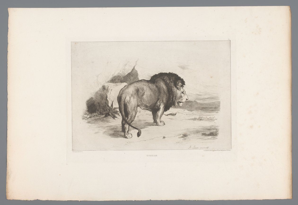 أسد Un vieux lion (العنوان على الكائن) النقوش الفرنسية من عام 1874 (عنوان السلسلة) L