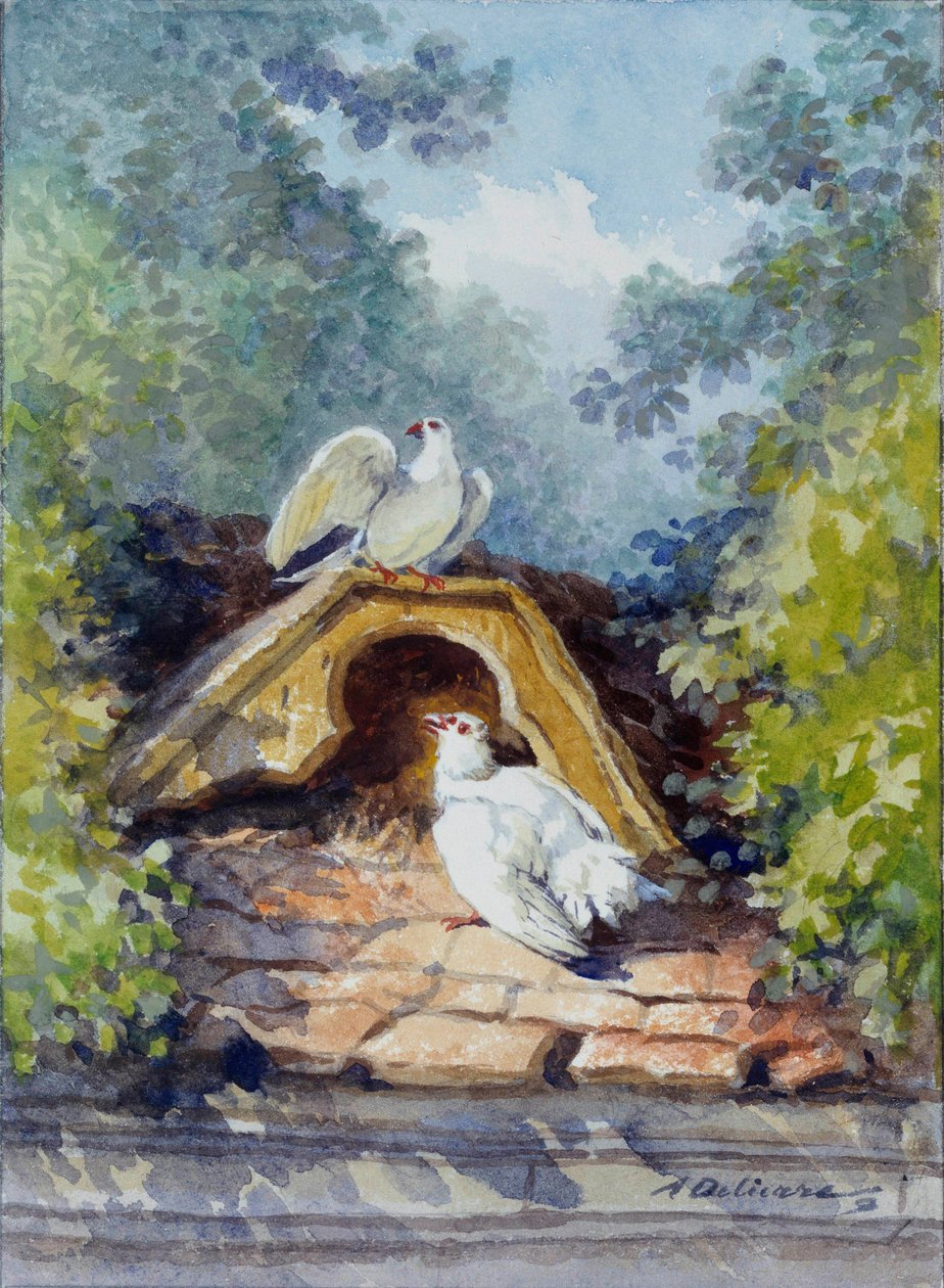 الحمامان المائيان اللذان رسمهما أوغست ديليير (1829-1891) لخرافة جان دي لا فونتين (1621-1695) في القرن التاسع عشر. شاتو تيري. متحف لافونتين بواسطة أوغست ديليير