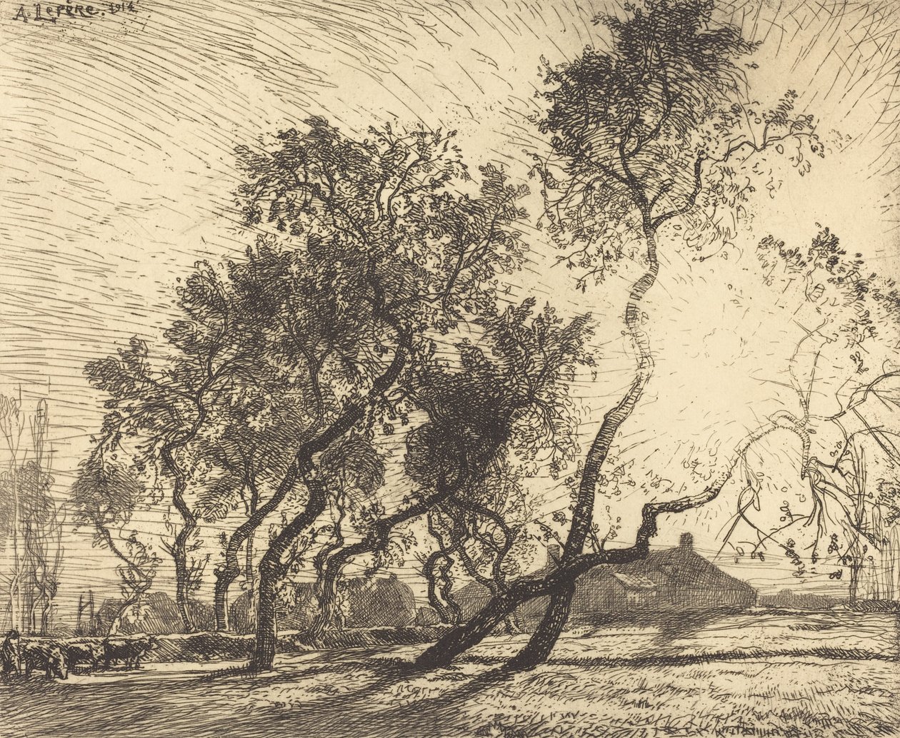 مزرعة الحور الهولندية ، 1914. بواسطة أوغست ليبير