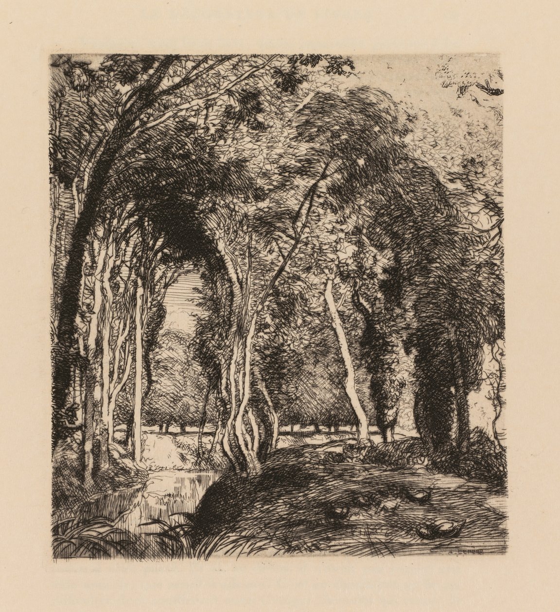 Auguste Lepère: Undergrowth ، في La Rigonette (Vendèe) بواسطة أوغست لويس ليبيري