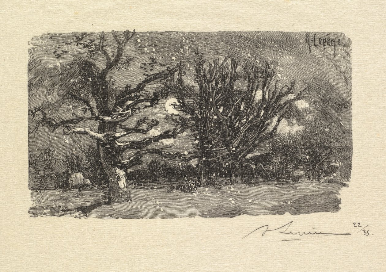 غابة فونتينبلو: Au dormoir de Lantara (La Forêt de Fontainebleau: Au dormoir de Lantara) بواسطة أوغست لويس ليبيري