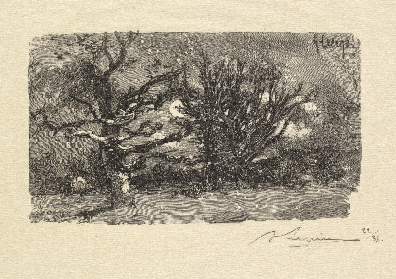 غابة فونتينبلو: Au dormoir de Lantara La Forêt de Fontainebleau: Au dormoir de Lantara، 1890 بواسطة أوغست لويس ليبيري