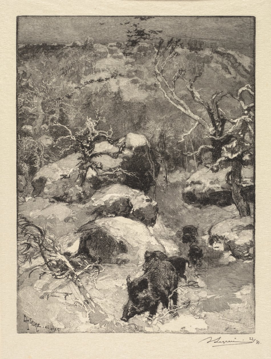 غابة Fontainebleau: Cuvier-Châtillon Cliff غابة Fontainebleau: Roche Cuvier-Châtillon ، 18 بواسطة أوغست لويس ليبيري