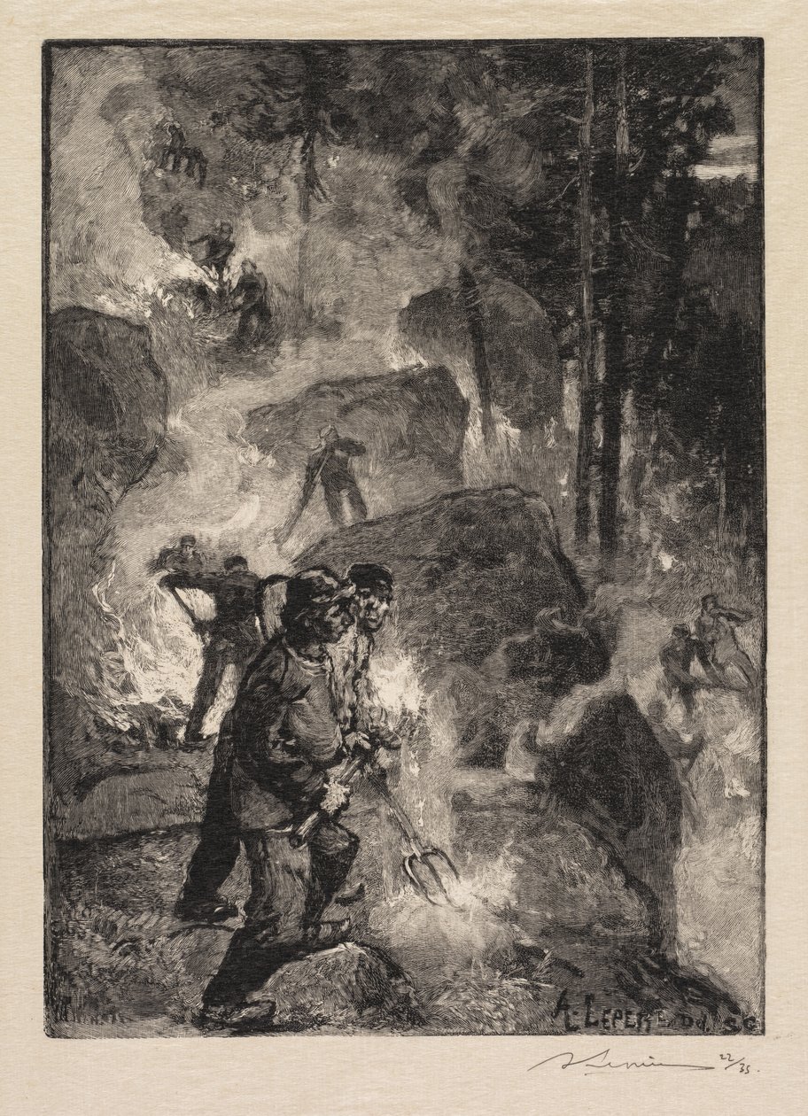 غابة فونتينبلو: Fern Burners La Forêt de Fontainebleau: حارقات السرخس ، 1890. بواسطة أوغست لويس ليبيري