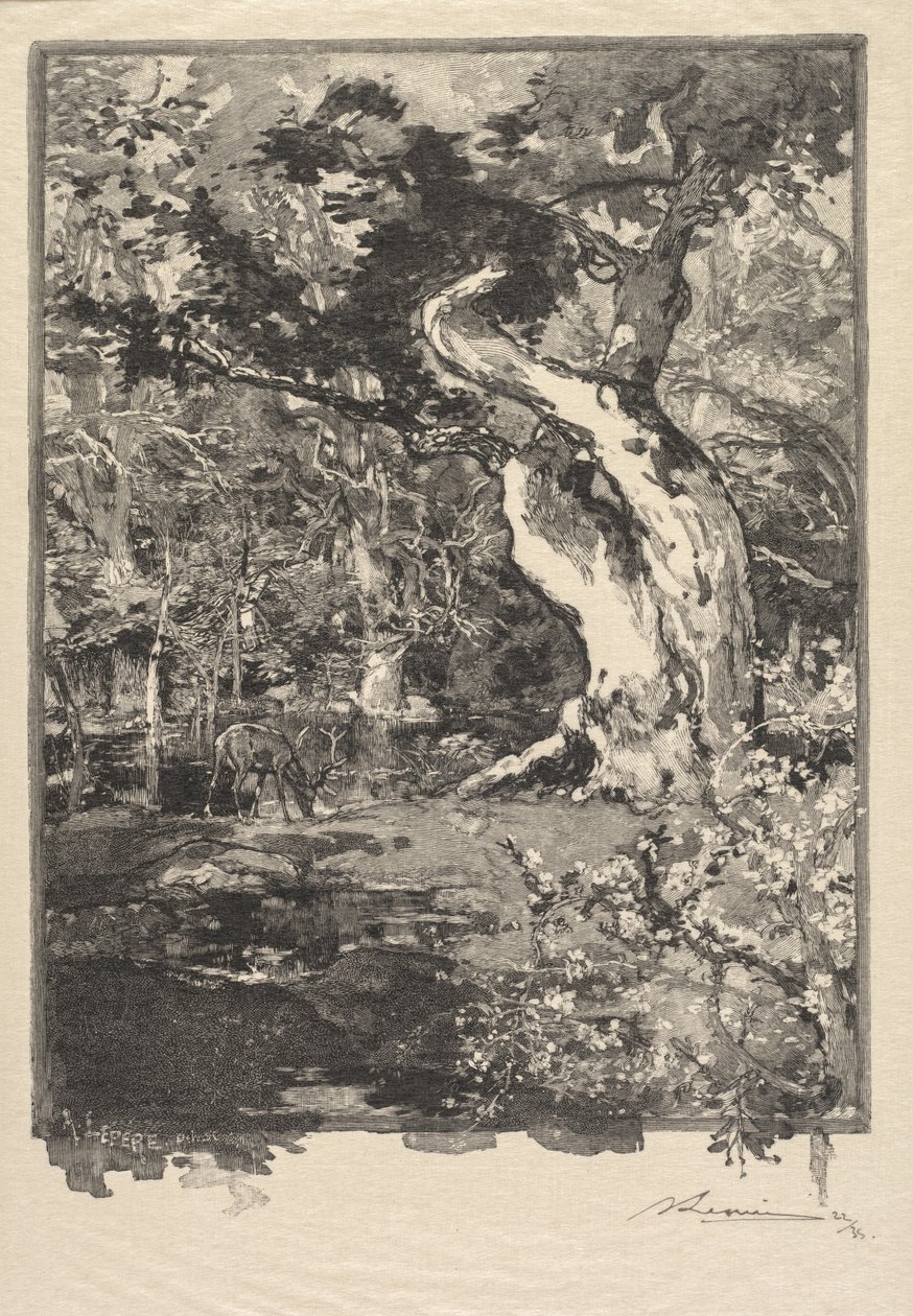 غابة Fontainebleau: Le Clovis ، هضبة Bellecroix La Forêt de Fontainebleau ... ، 1890. بواسطة أوغست لويس ليبيري