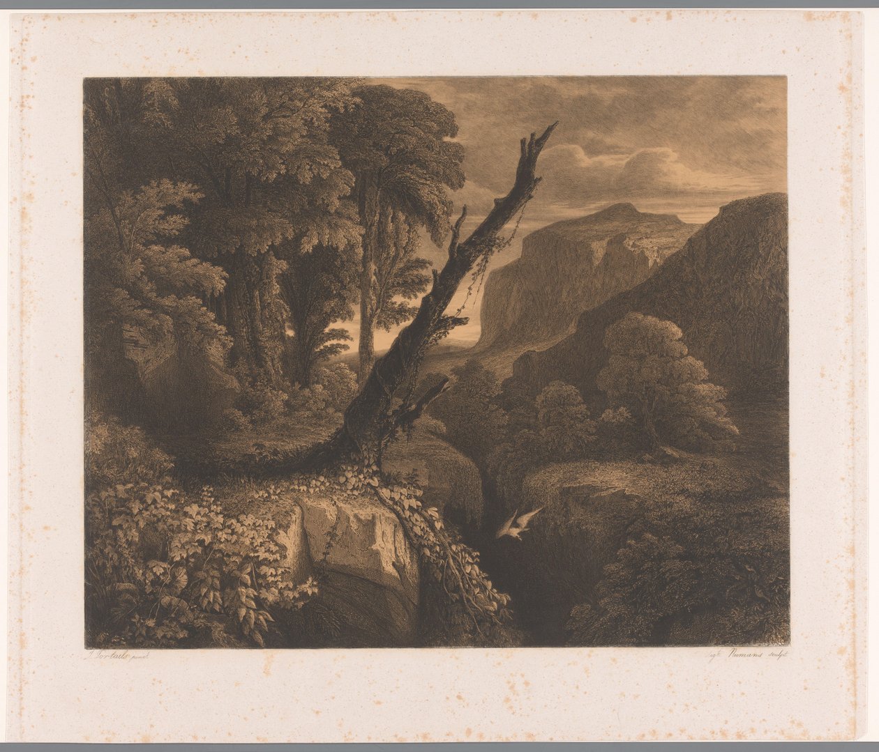 منظر طبيعي للجبال مع طائر يطير عبر واد Dix eaux-fortes par A. Numans (عنوان السلسلة) وجوه لأوغست نومان بعد فنانين آخرين (عنوان المسلسل) بواسطة أوغست نومان