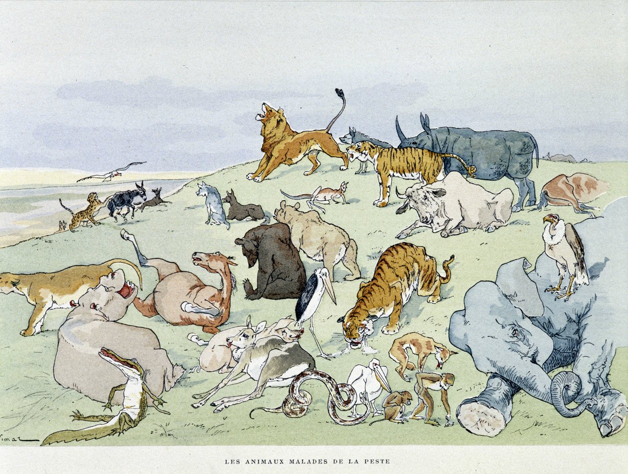 الحيوانات المريضة بالطاعون - في "" Les Fables de la Fontaine "" ، سوء. بواسطة Auguste Vimar (1851-1916) ، جولات ، في A ، Mame & Fils بواسطة أوغست فيمار