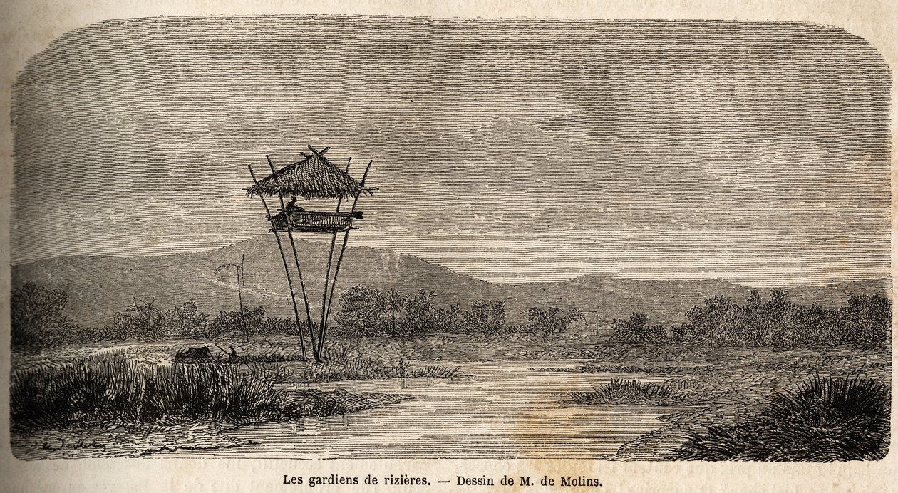 حارس أرز بالقرب من باتافيا (جاكرتا الحالية). رسم بواسطة M. de Molins لتوضيح رحلته إلى Java بواسطة أوغست دي مولينز