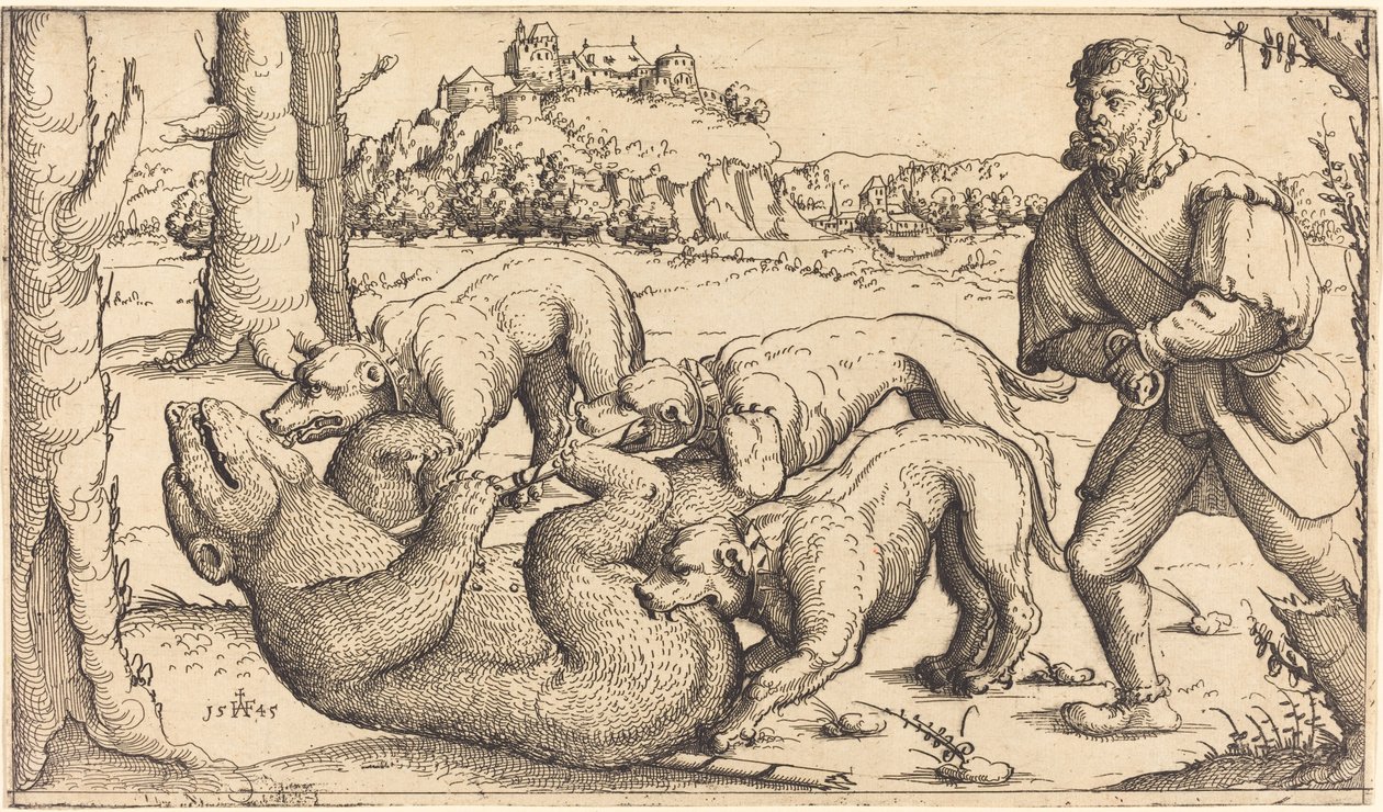 بير هانت ، 1545. بواسطة أوغسطين هيرشفوغل