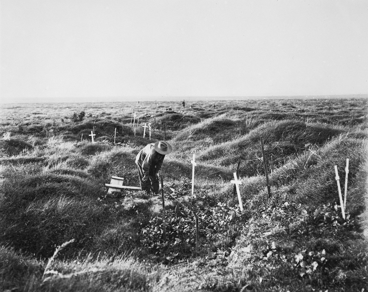 منظر القبور الأسترالية المتناثرة على طول خط OG1 في ساحة معركة Pozieres ، 16 سبتمبر 1917 بواسطة مصور استرالي