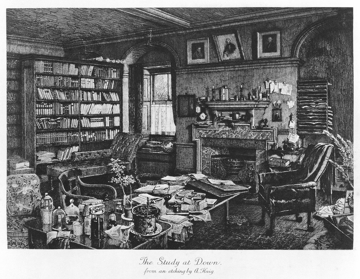 The Study at Down, pub. 1882 (engraving) بواسطة أكسل (بعد) هيج