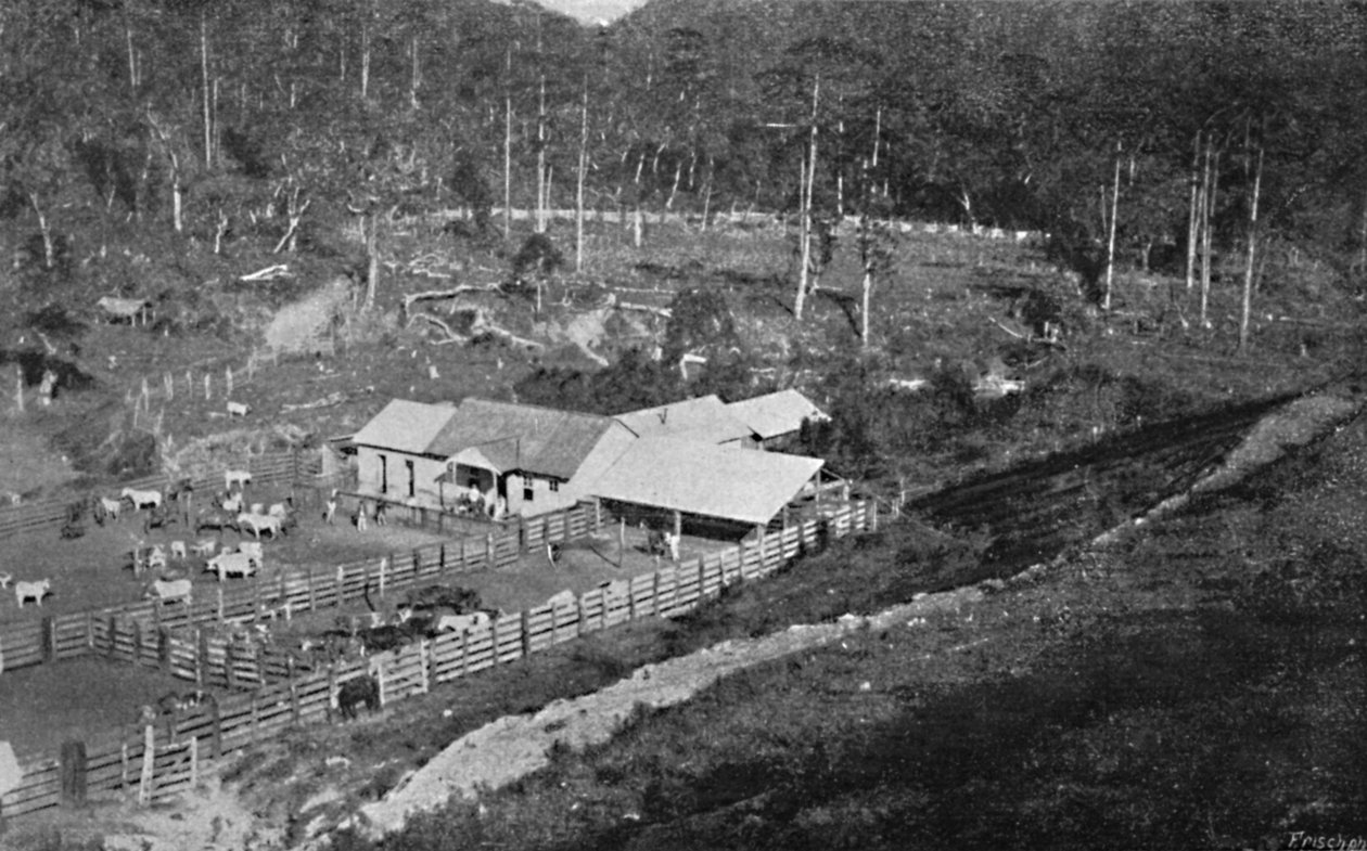 مزرعة Criacao Campos do Jordao ، مزرعة Criacao ، 1895 بواسطة أكسل فريك
