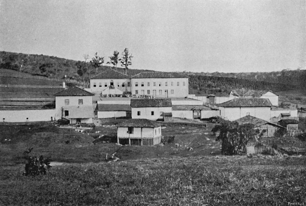 مزرعة Sete Quedas Campinas ، مزرعة Sete Quedas ، 1895 بواسطة أكسل فريك