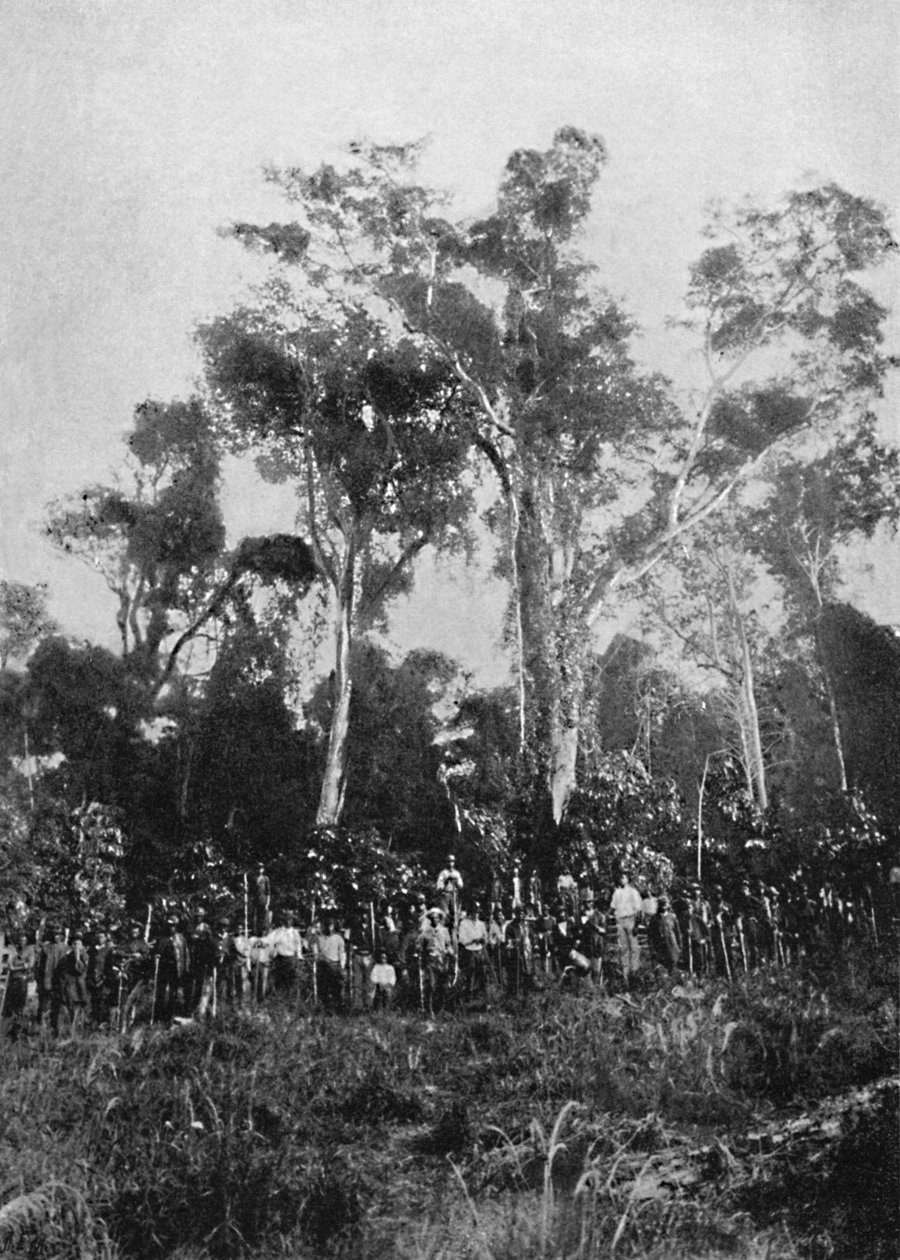 فيرجن متى ، 1895 بواسطة أكسل فريك