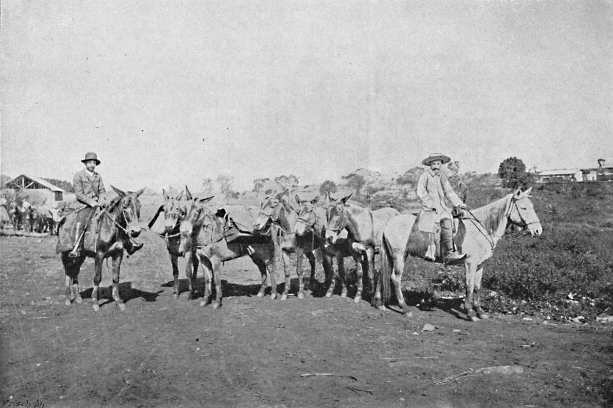 تجار الداخلية ، تجار الداخلية ، 1895 بواسطة أكسل فريك