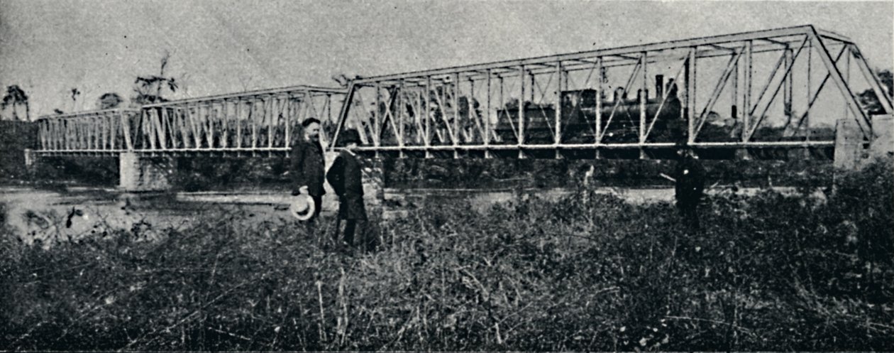جسر إي إف موغيانا فوق ريو باردو ، 1895 بواسطة أكسل فريك