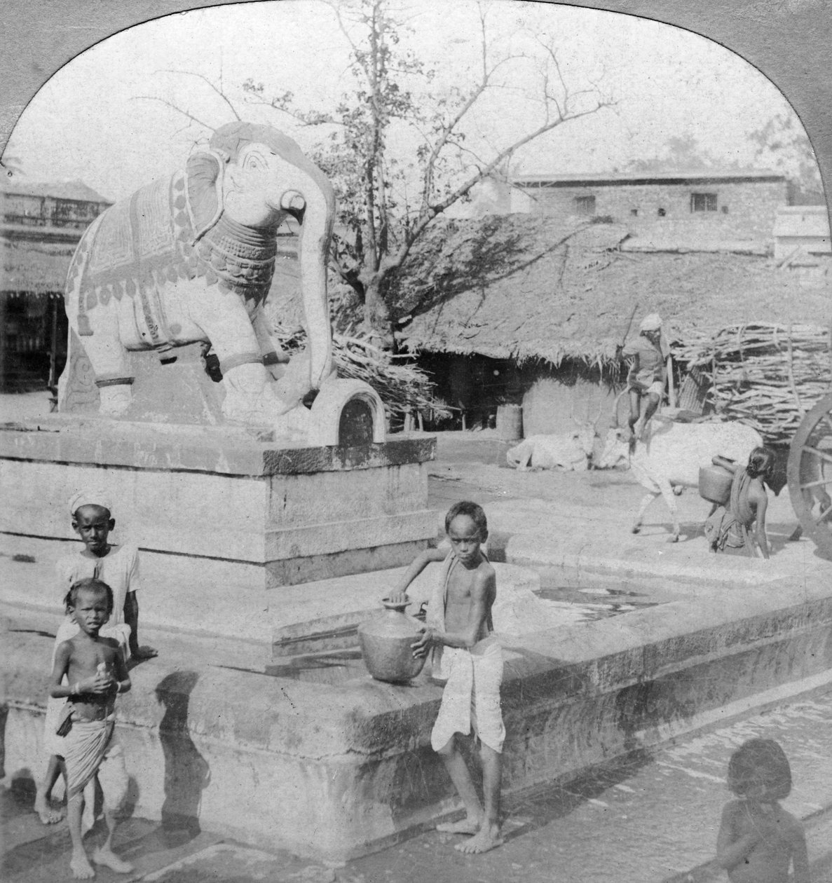 نافورة فيل ، مادورا ، الهند ، 1901. بواسطة BL سينجلي
