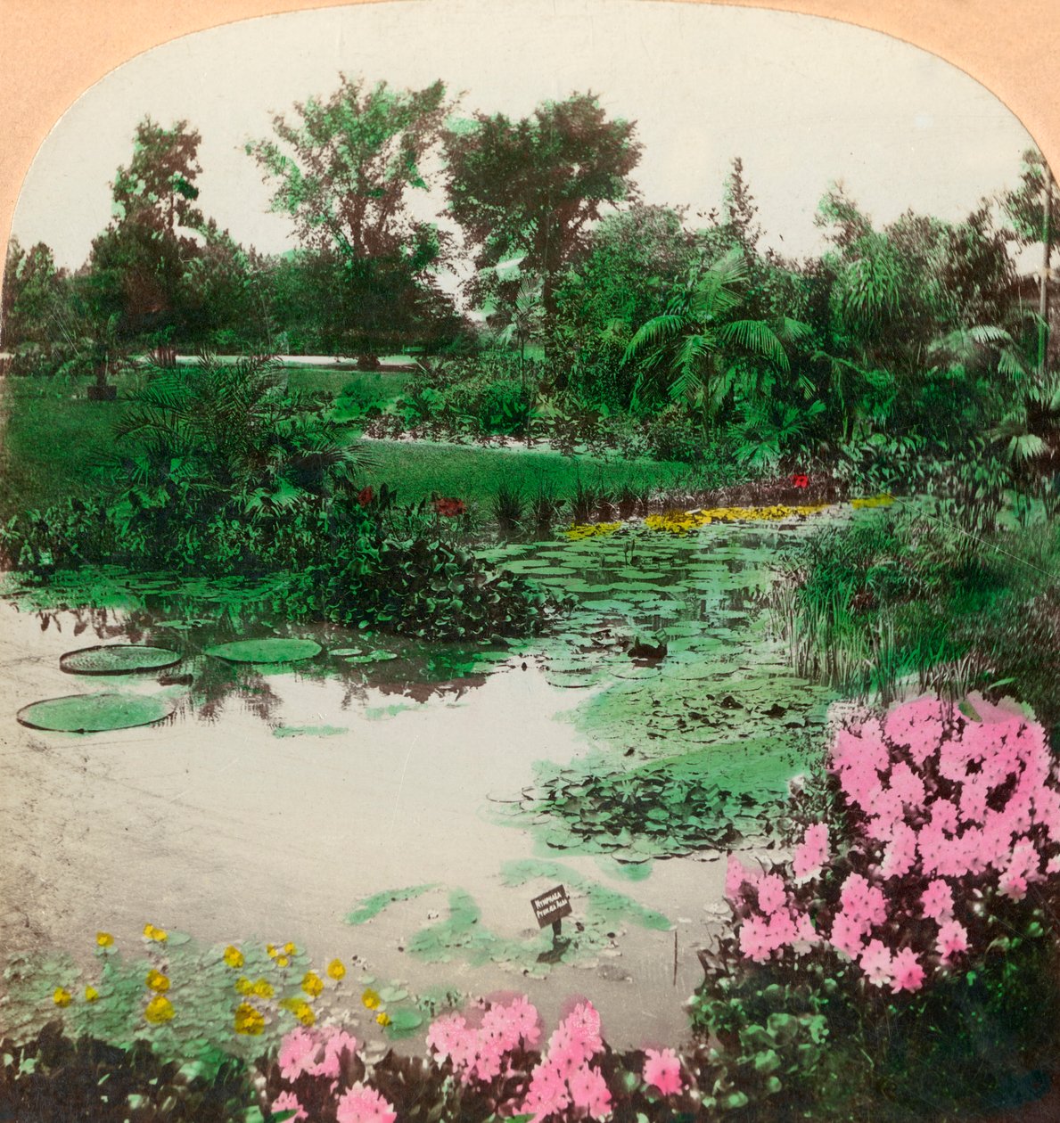 ليلي بوند ، برج جروف بارك ، سانت لويس ، ميزوري ، الولايات المتحدة الأمريكية ، 1897. بواسطة BL سينجلي