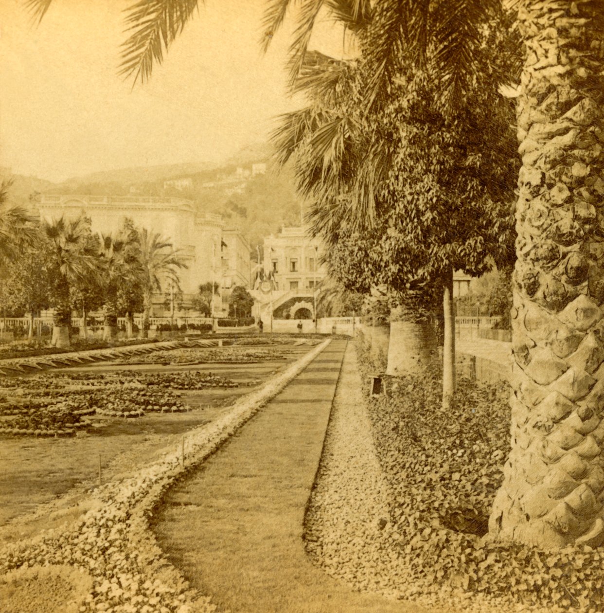 مونتي كارلو ، نظر من الكازينو ، 1897. بواسطة بي دبليو كيلبورن