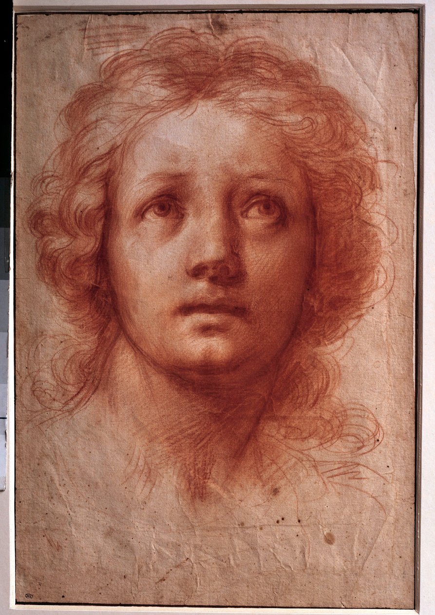 دراسة رأس المرأة ، والنظرة الثابتة تنعطف إلى الأعلى الرسم بالحبر والغسيل بواسطة Franceschini Baldassare dit il Volterrano (1611-1689). القرن ال 17. خافت. 0،42 × 0،28 م. باريس ، متحف اللوفر بواسطة Baldassare Franceschini
