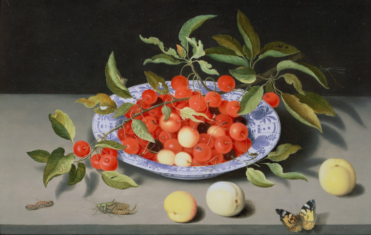 لا تزال حياة الكرز والخوخ بواسطة Balthasar van der Ast