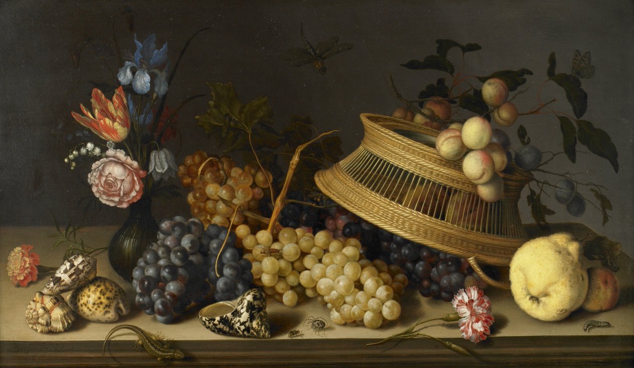 الحياة الساكنة من الزهور والفواكه والأصداف والحشرات بواسطة Balthasar van der Ast