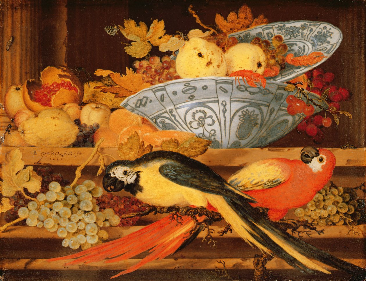 لا تزال الحياة مع الفاكهة والببغاء ، 1622 (زيت على النحاس) بواسطة Balthasar van der Ast