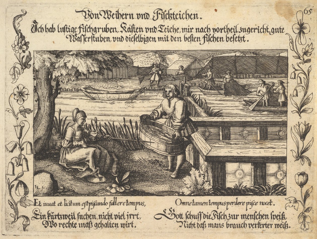 من البرك وأحواض الأسماك ، رسم توضيحي من بترارك ، Glück und Unglück Spiegel ، تمثال ... ، 1652. بواسطة بالتازار سوان