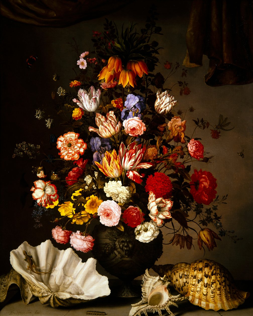  بواسطة Balthasar van der Ast
