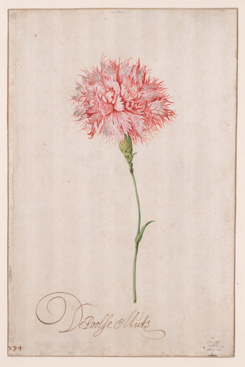 القبعة البولندية بواسطة Balthasar van der Ast