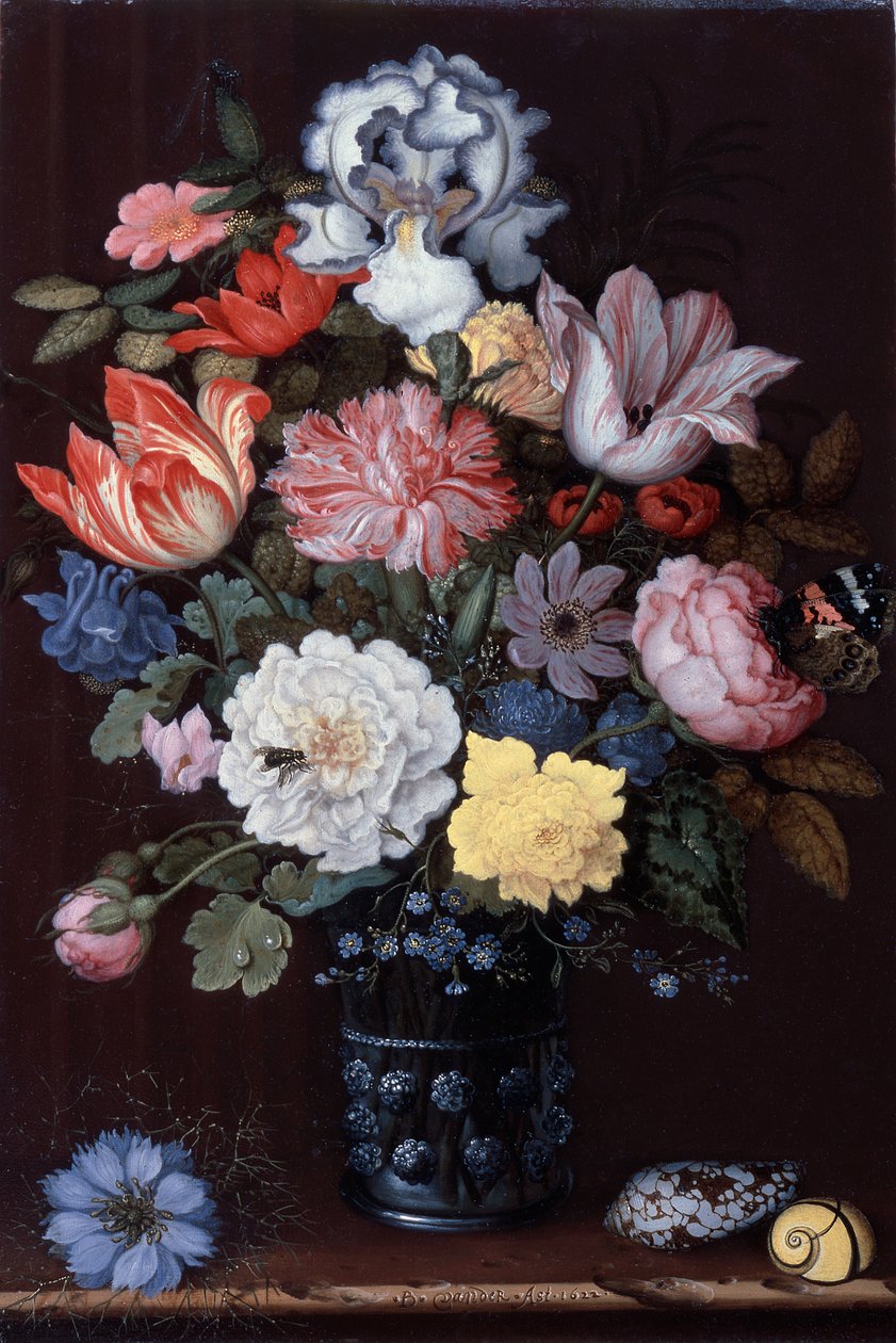  بواسطة Balthasar van der Ast